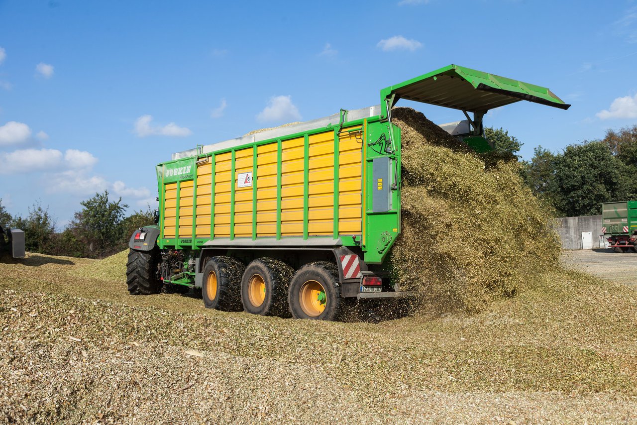 Bild 113 - Maisernte